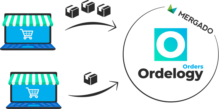 Ordelogy Orders